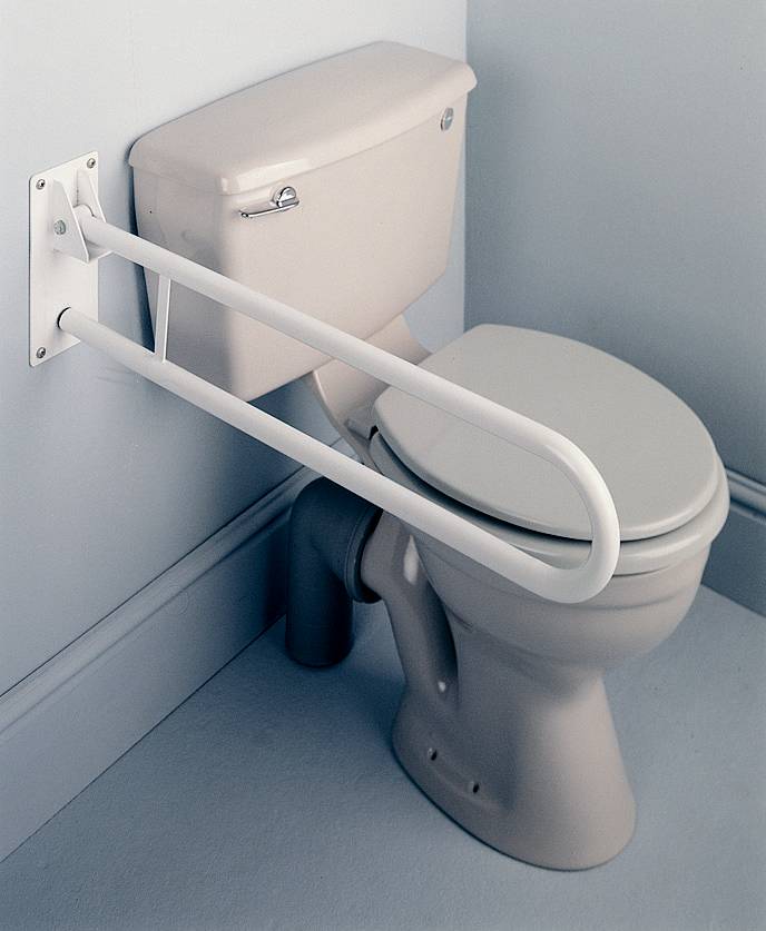 bathroom-safety-rail-3.jpg